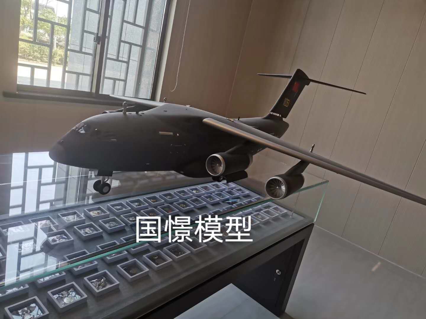 来凤县飞机模型